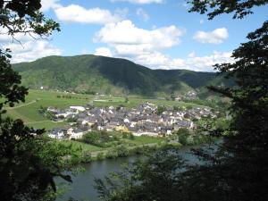 eine Stadt in einem Tal neben einem Fluss in der Unterkunft Fewo Gästezimmer in Ellenz-Poltersdorf