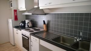 Kuchyň nebo kuchyňský kout v ubytování Comfortable Bungalow