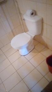 a toilet in a bathroom with a roll of toilet paper at Cabinas surf Arribadas in Ostional