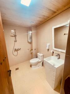 a bathroom with a toilet and a sink at Jawharat Alaqar Inn نزل جوهرة العقر in Nizwa