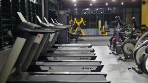 Fitness centrum a/nebo fitness zařízení v ubytování Swan Garden Resort Hotel