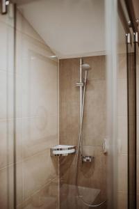 a bathroom with a shower with a glass door at Green Apart in Uderns