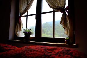 una ventana con dos macetas en un dormitorio en Podrum Miljević, en Ledinci