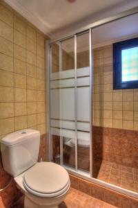 a bathroom with a toilet and a walk in shower at Villa Escobadd in Arachova