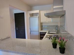 Kuchyňa alebo kuchynka v ubytovaní El Casar Apartments