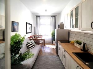 Kuchyňa alebo kuchynka v ubytovaní Apartament Litevski Deluxe