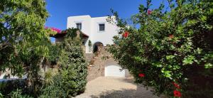 a white house with a gate and some flowers at Villa Santa Mavra in Glinado Naxos