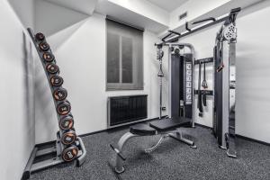Fitness centrum a/nebo fitness zařízení v ubytování Theresian Hotel