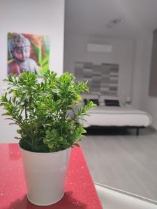 Eine Pflanze in einem weißen Topf auf einem roten Tisch. in der Unterkunft Apartamento Madrid Norte in Madrid