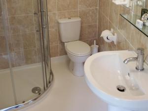 een badkamer met een toilet, een wastafel en een douche bij Cornerways in Ventnor