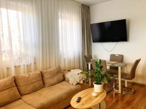 TV a/nebo společenská místnost v ubytování Boró Apartman