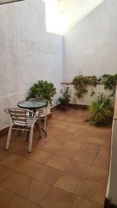 a table that has a plant in it at Hostal Alhambra Tarragona in Tarragona
