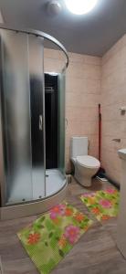 a bathroom with a shower and a toilet and a rug at Elite Flats One bedroom in Utena