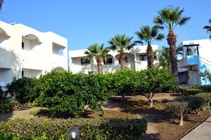 Vonkajšia záhrada v ubytovaní Muses Hotel