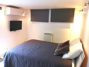 um quarto com uma cama e duas televisões de ecrã plano na parede em Appartement 50 m2 dans une maison privative avec terrasse et jardin privée em Le Cannet