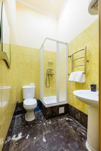 a bathroom with a shower and a toilet and a sink at Квартира в центре Киева in Kyiv +7 photos