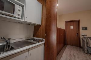 Kuchyň nebo kuchyňský kout v ubytování Hotel Petra
