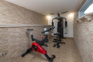 Fitness centrum a/nebo fitness zařízení v ubytování Villa Ventula