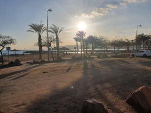 a parking lot with palm trees and a white car at red sea beach caravan - קרוואן על חוף הים האדום in Eilat