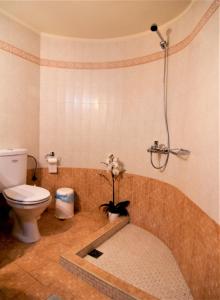 un baño con inodoro y bañera en Afroditi Traditional Villa, en Yiannioú 49 fotos más
