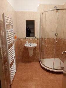 łazienka z przeszkloną kabiną prysznicową i umywalką w obiekcie Pavilon v ráji w mieście Žďár +37 zdjęć