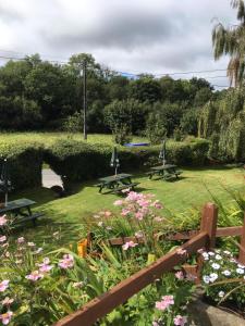 two picnic tables in a park with flowers at Kestor Inn, Manaton, Dartmoor National Park, Newton Abbot, Devon in Manaton