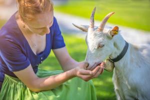 Uma mulher está a alimentar uma cabra branca. em Der Anderlbauer am See em Schliersee