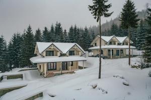 una casa cubierta de nieve con árboles en el fondo en WhiteWood Cottages en Bukovel