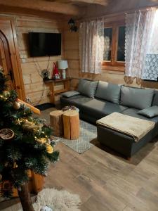 a living room with a couch and a christmas tree at Domek Góralki in Zakopane