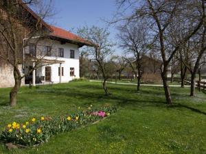 Zahrada ubytování Fewo B33