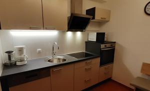 Kuchyňa alebo kuchynka v ubytovaní Appartement Haus Gatterer