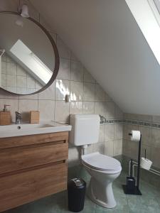 a bathroom with a toilet and a sink and a mirror at Apartments Skok in Bled