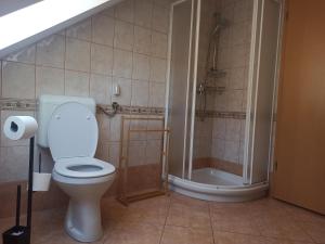 een badkamer met een toilet en een douche bij Apartments Skok in Bled