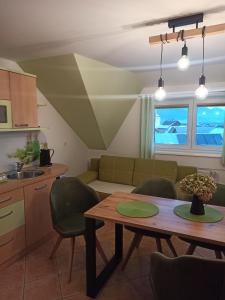 Kuchyň nebo kuchyňský kout v ubytování Apartments Skok + 30 fotografií