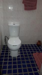 a white toilet in a bathroom with a blue tiled floor at Casa Santita Por Habitación in Santa María del Tule