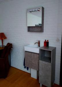 a bathroom with a sink and a mirror on the wall at B&B de Sluis in Rosmalen