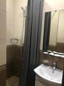 a bathroom with a shower and a sink and a mirror at Hotel Malvida in Vidnoye