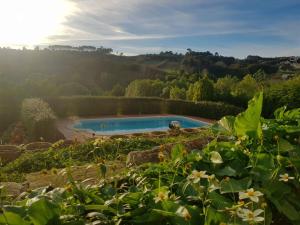 בריכת השחייה שנמצאת ב-Quinta da Fonte - Casa da Charrete או באזור