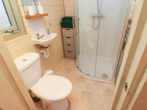 a small bathroom with a toilet and a shower at Badger in Keighley