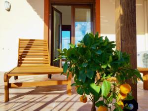 una panchina di legno e una pianta in vaso su un portico di Villa Filia a Gennadi