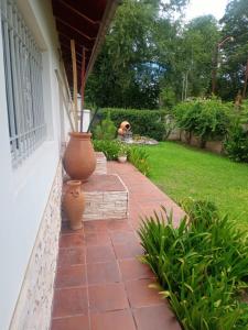 pies siedzący na ganku z wazą w obiekcie El Maná w mieście Bialet Massé