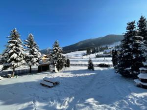 Chata Jánošík durante l'inverno