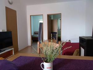 uma sala de estar com um sofá e uma mesa com uma planta em Apartman Malahov em Posedarje