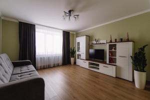 ein Wohnzimmer mit einem Sofa und einem TV in der Unterkunft Затишна квартира біля парку Центр міста in Ternopil