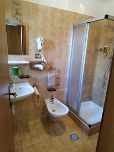 Koupelna v ubytování Pension Lafod + 33 fotografií