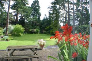 Ogród w obiekcie Glenlyon Bed and Breakfast - NEC