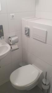 ein weißes Bad mit einem WC und einem Waschbecken in der Unterkunft Hotel Berkut in Fürth