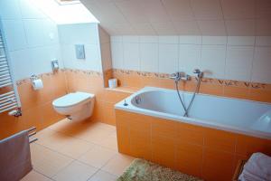 a bathroom with a bath tub and a toilet at Dvůr Pohody in Varnsdorf