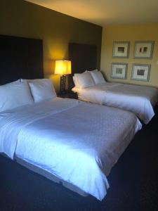 2 Betten in einem Hotelzimmer mit weißer Bettwäsche in der Unterkunft Holiday Inn Express Hotel & Suites Lansing-Dimondale, an IHG Hotel in Dimondale