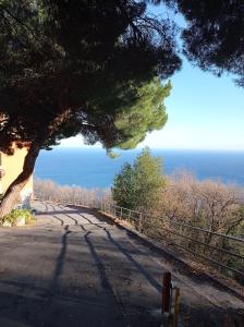 a tree on a road with the ocean in the background at Casa Baia Azzurra in Bergeggi